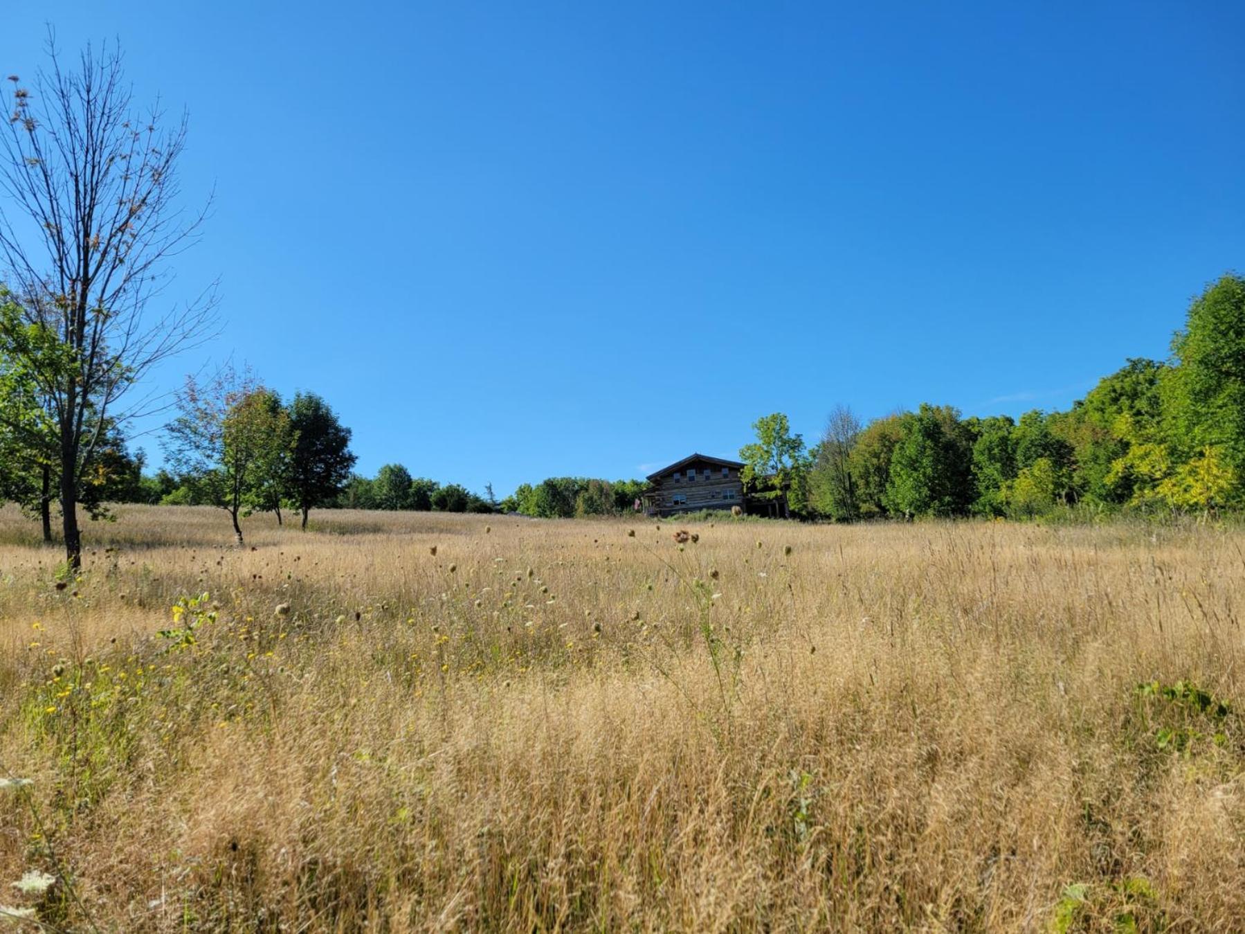 Firefly Creek Lodge Livonia ภายนอก รูปภาพ